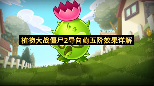 植物大战僵尸2,五阶导向蓟,导向蓟五阶效果