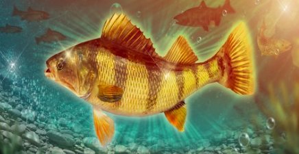 钓鱼大对决,钓鱼攻略,RPG钓鱼模拟